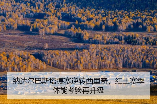 na-da-er-ba-si-ta-de-sai-ni-zhuan-xi-li-qi-hong-tu-sai-ji-ti-neng-kao-yan-zai-sheng-ji-2-807.jpg