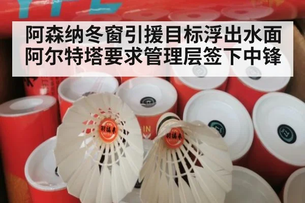 阿森纳冬窗引援目标浮出水面 阿尔特塔要求管理层签下中锋